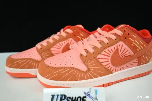 Low Nike (W) Winter Solstice NH Dunk DO6723-800 0503